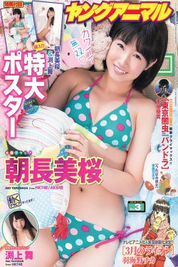 金瓶双梅外传